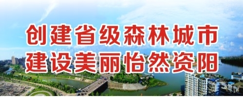 鸡巴操逼网址创建省级森林城市 建设美丽怡然资阳