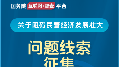 男日女软件，特别高潮国务院“互联网+督查”平台公开征集阻碍民营经济发展壮大问题线索